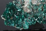 Gemmy Dioptase Crystal Cluster #175952-2